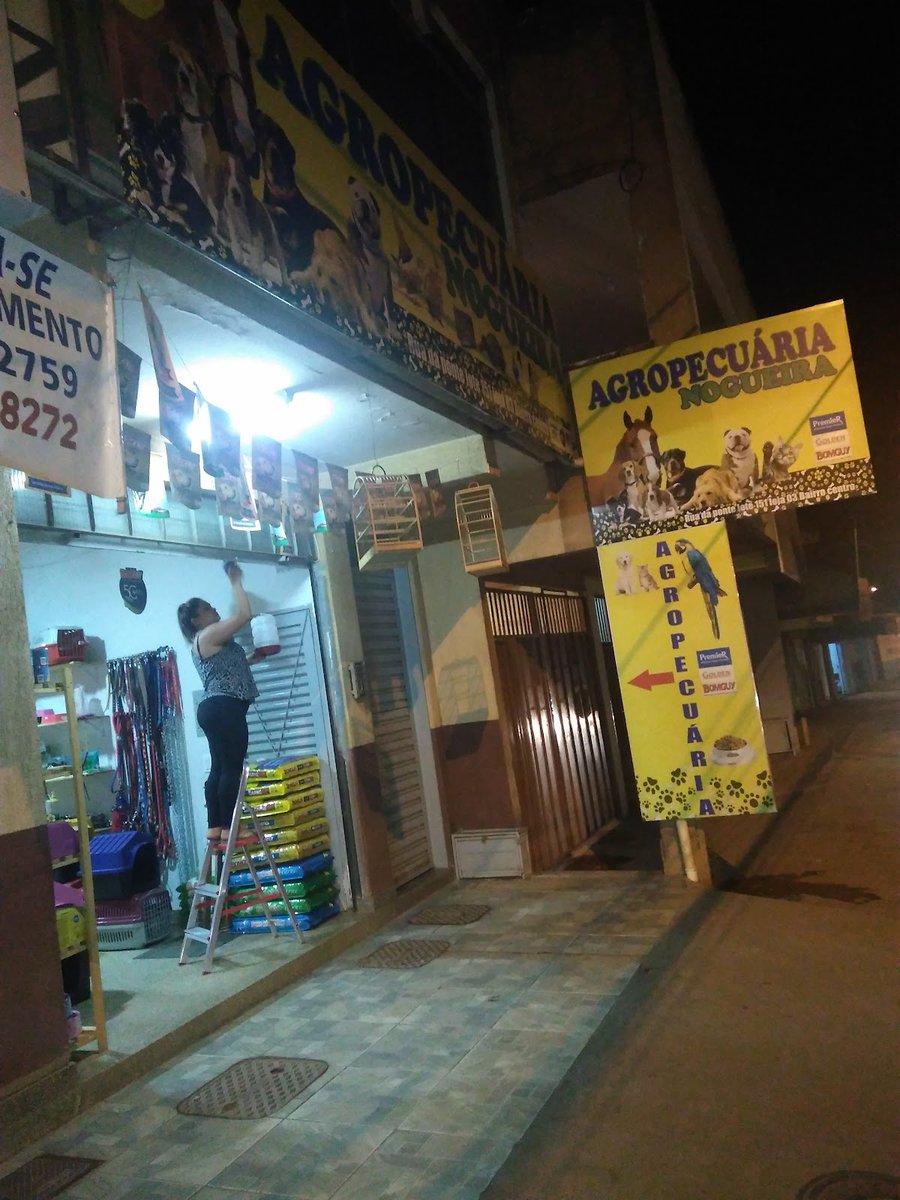 Agropecuária Nogueira