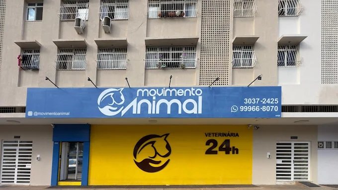 Movimento Animal | Clínica Veterinária 24 Horas