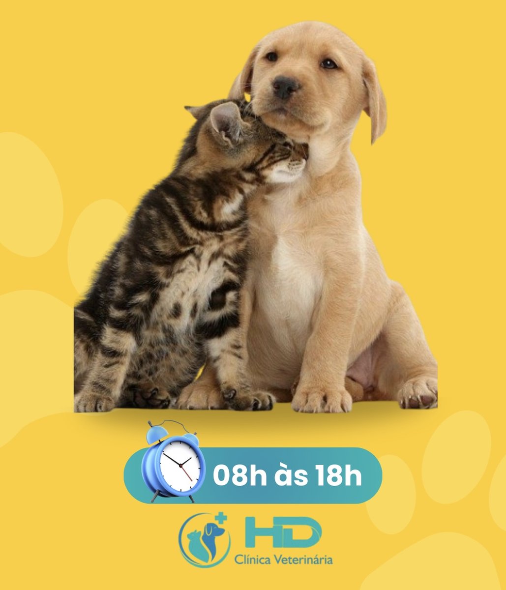 HD Clínica Veterinária
