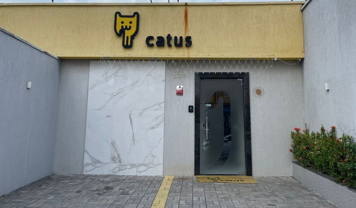 Catus Medicina Felina - Hospital Exclusivo para gatos - 24h
