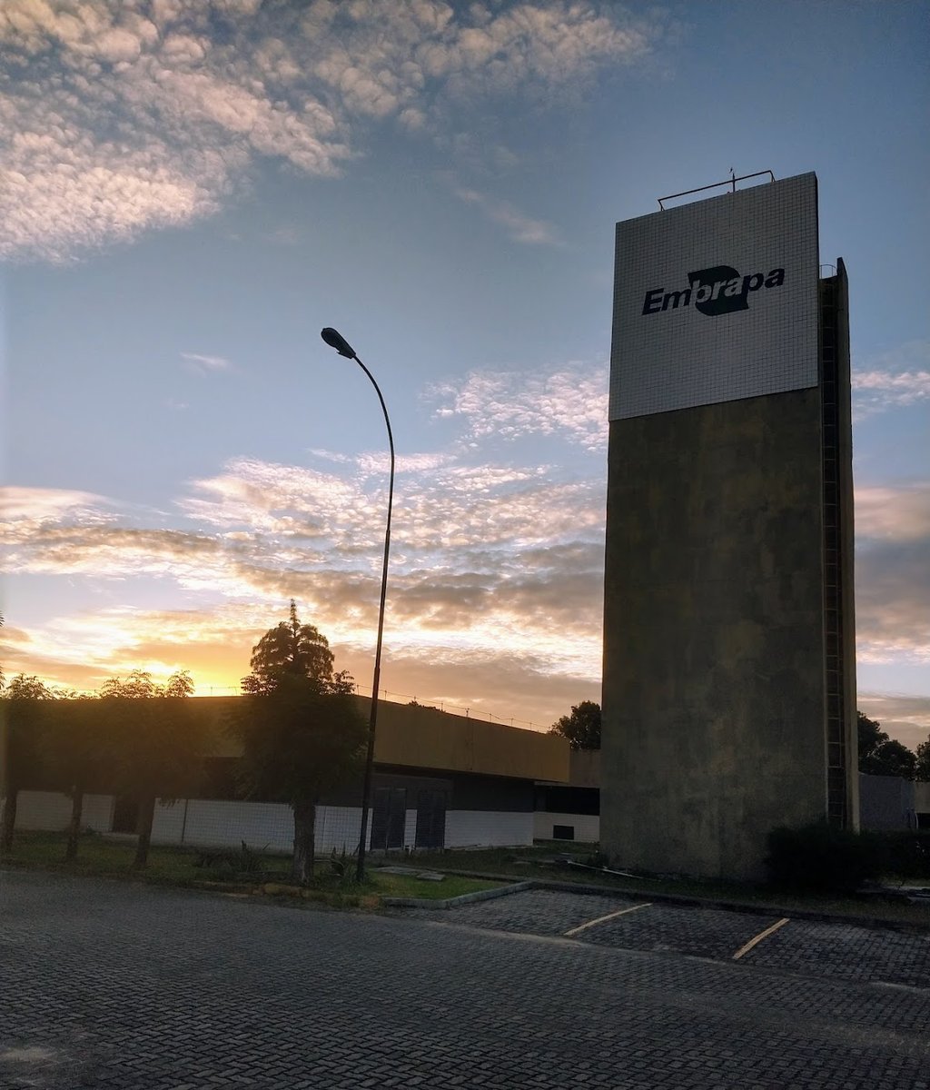 EMBRAPA - Empresa Brasileira de Pesquisa Agropecuária