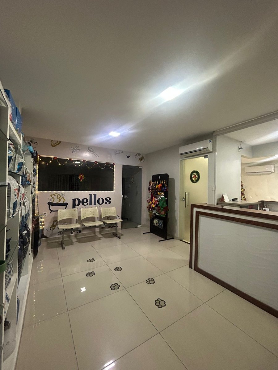 Curapet clinica veterinária