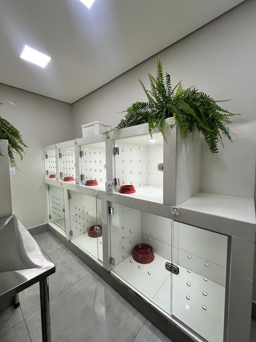 Clínica Veterinária Bicho Chique