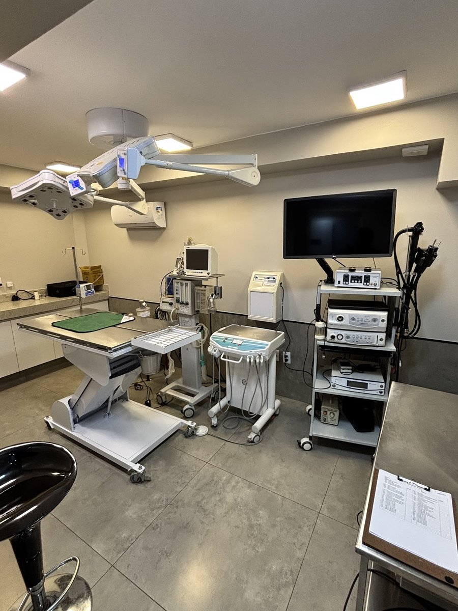 Amparo Clínica Veterinária 24 horas Brasília