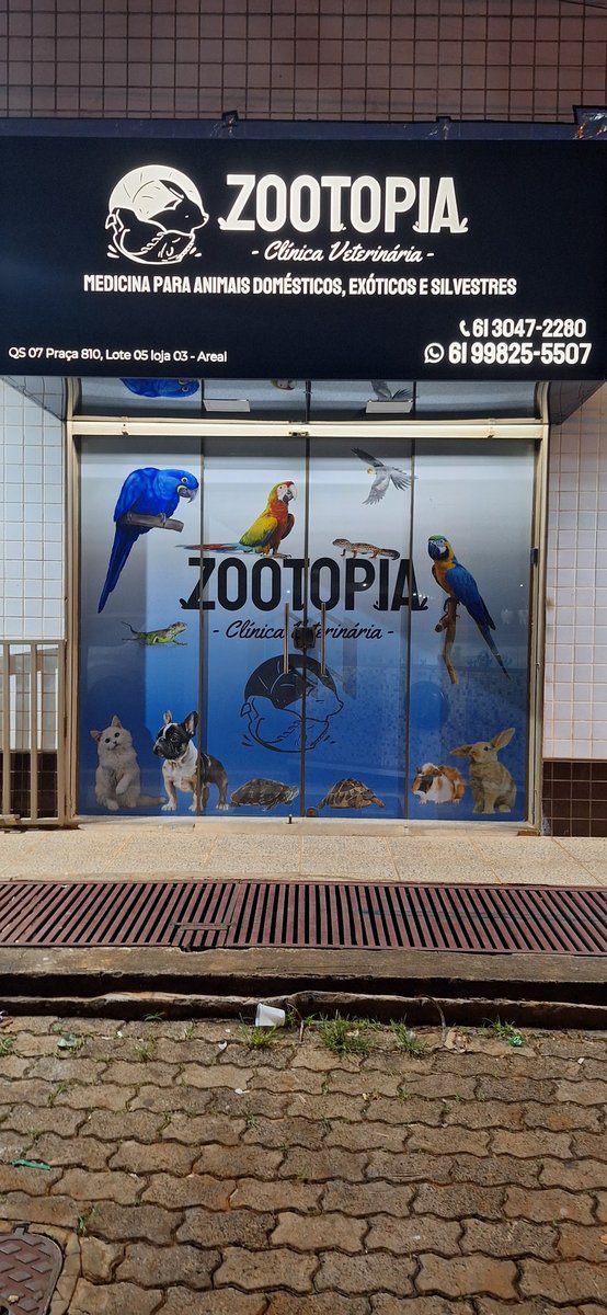 Zootopia Clínica Veterinária - Animais Exóticos e Domésticos