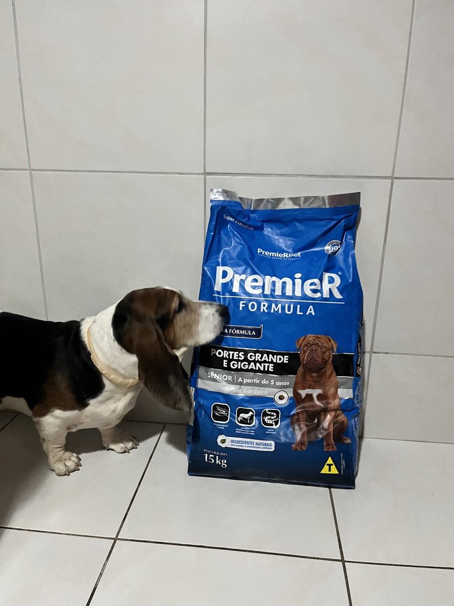 BisPet - Sólon Pinheiro