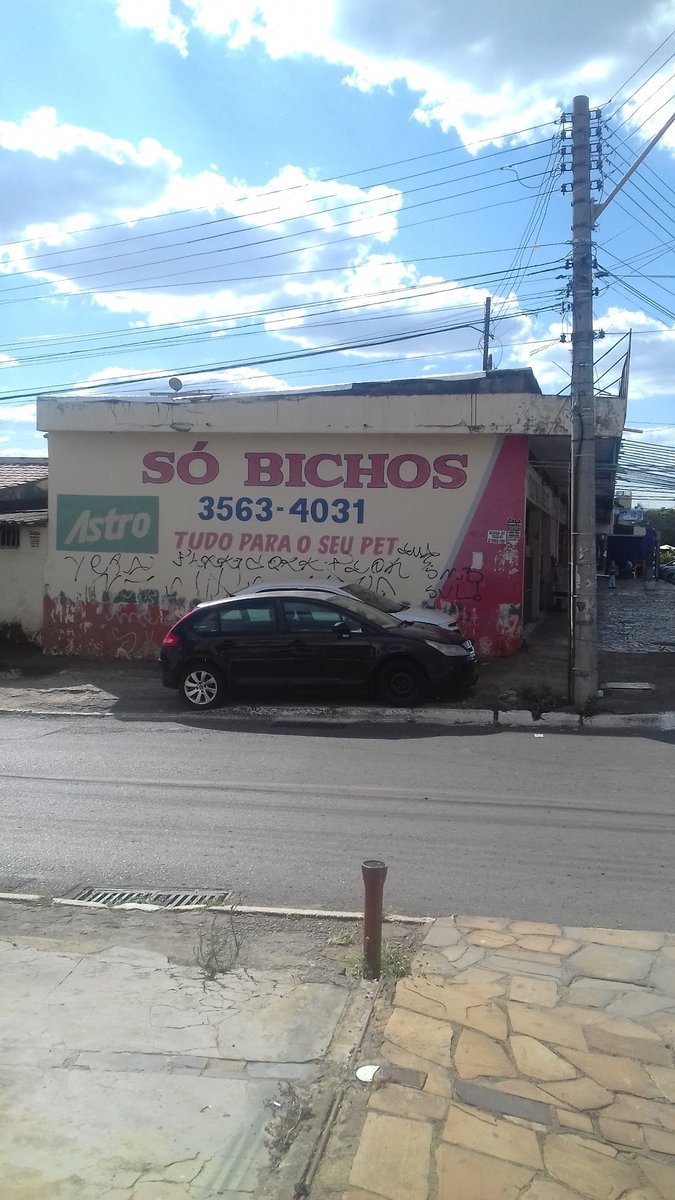 Só Bichos