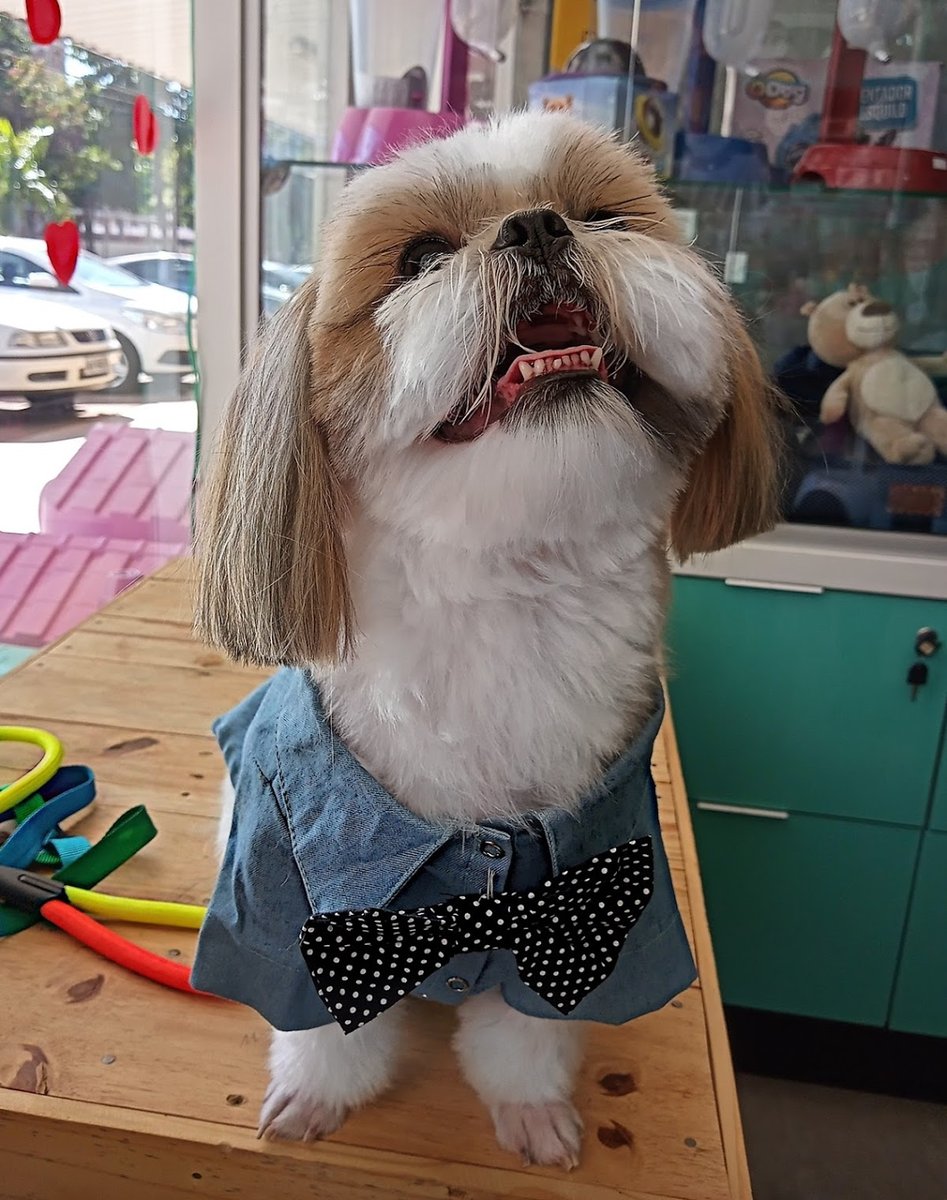 Hospital Veterinário HVSAM - 24h