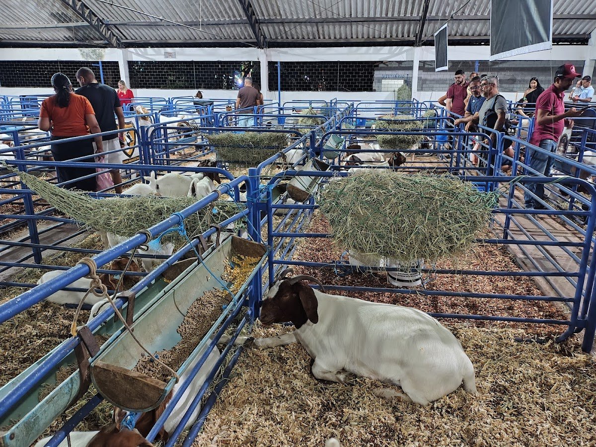 EXPOECE - Exposição Agropecuária e Industrial do Estado do Ceará
