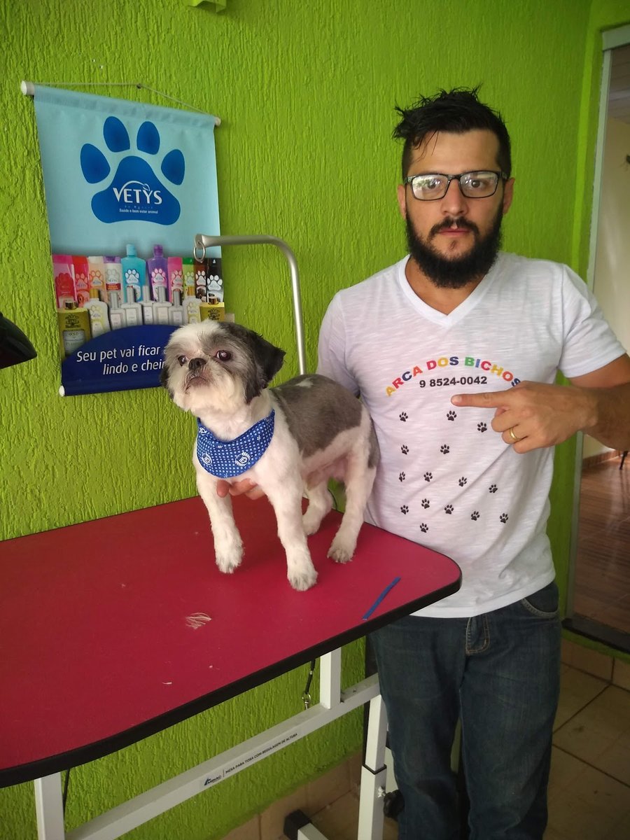 Clínica Veterinária Arca dos Bichos