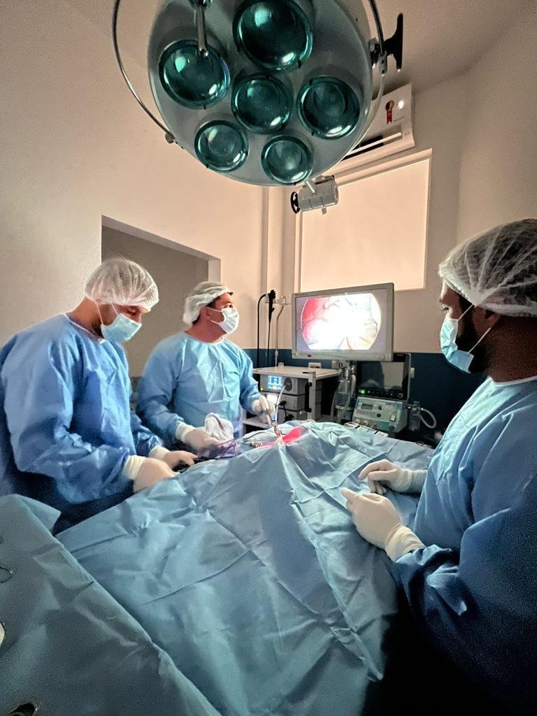 MediciVet 24h -Clínica Veterinária e Pet Shop