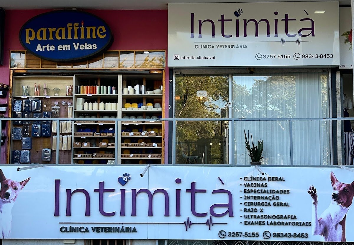 Intimità Clínica Veterinária