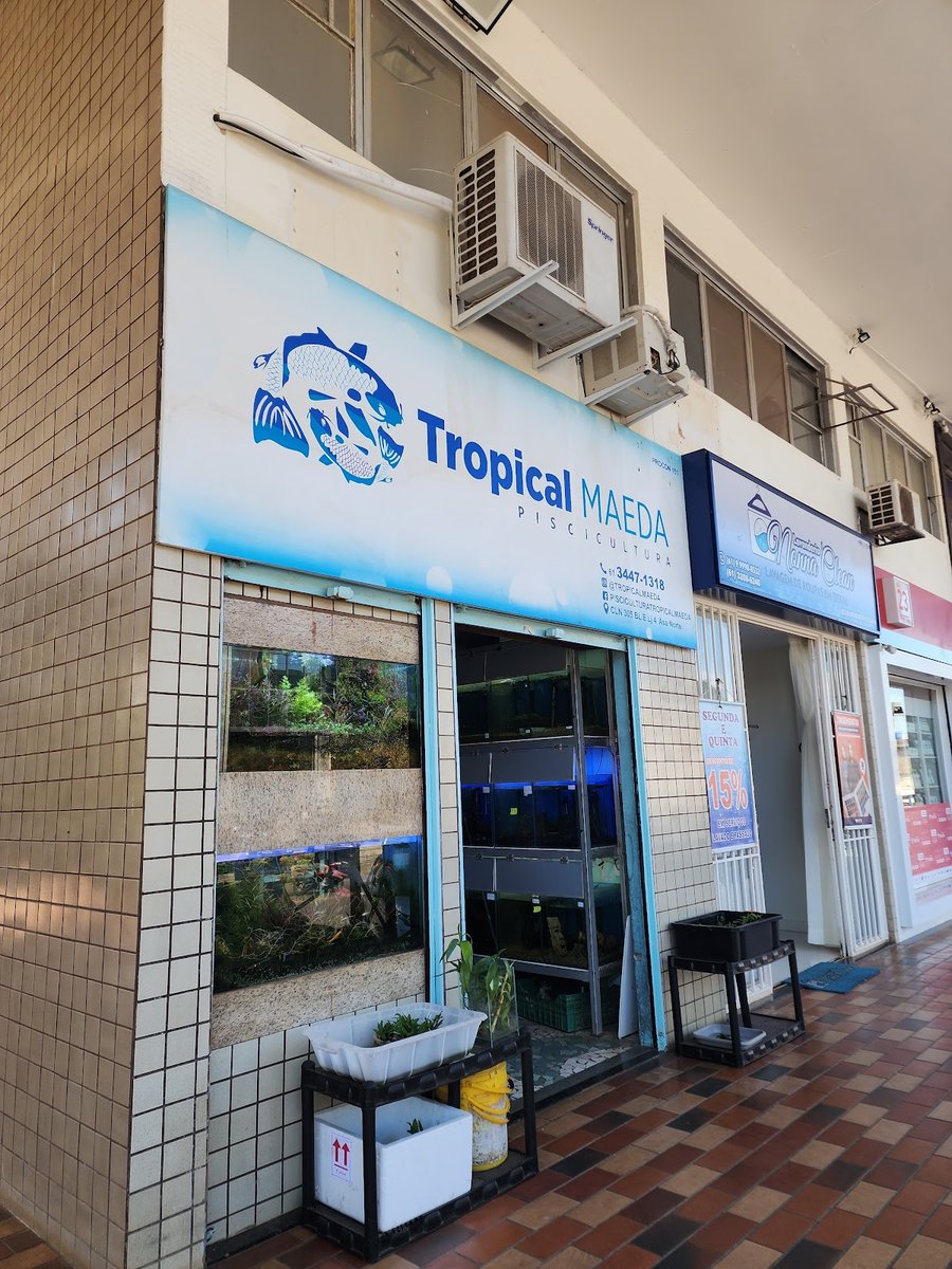 Tropical Maeda