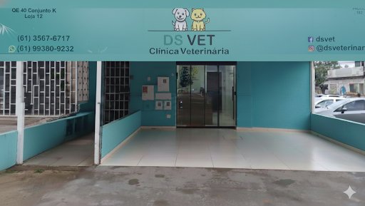 DS VET - Clínica Veterinária
