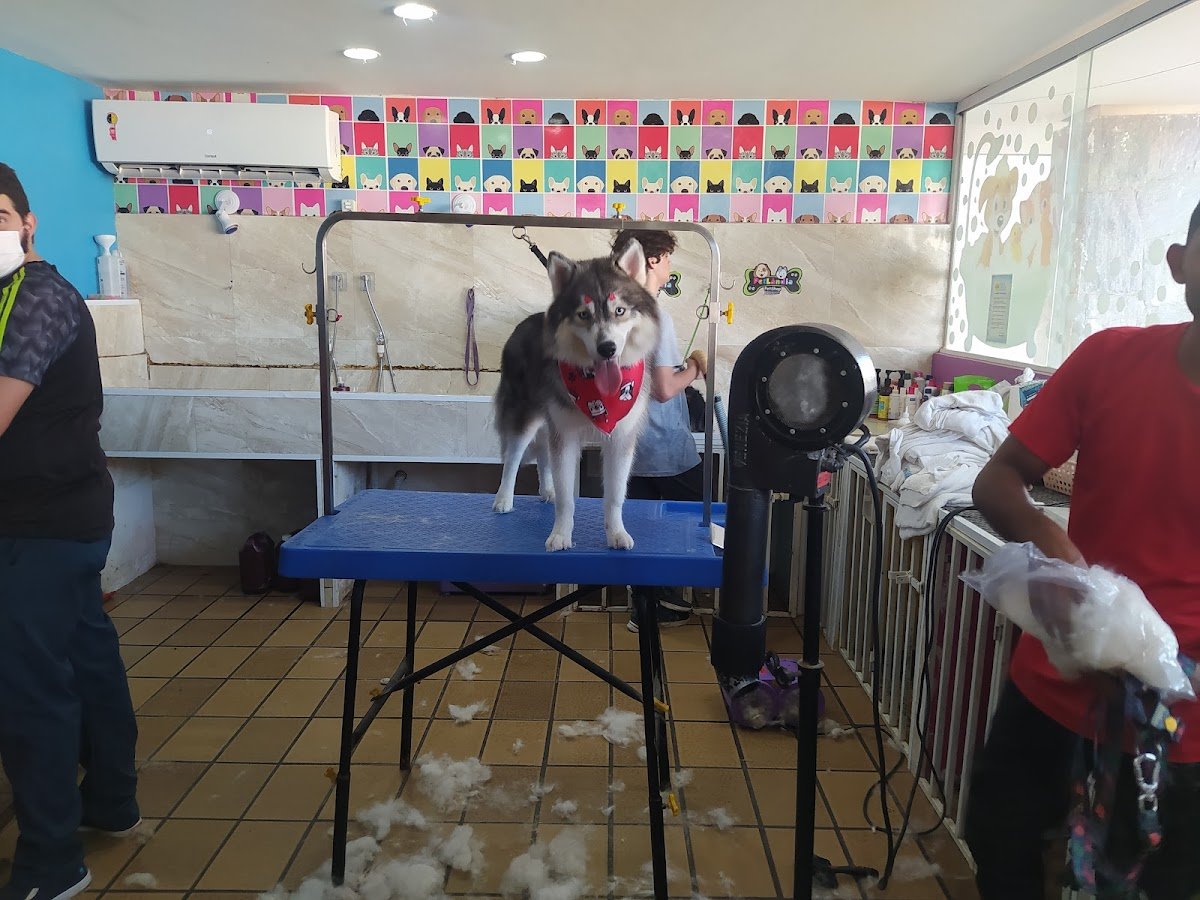 PetLândia | Petshop e Hotel