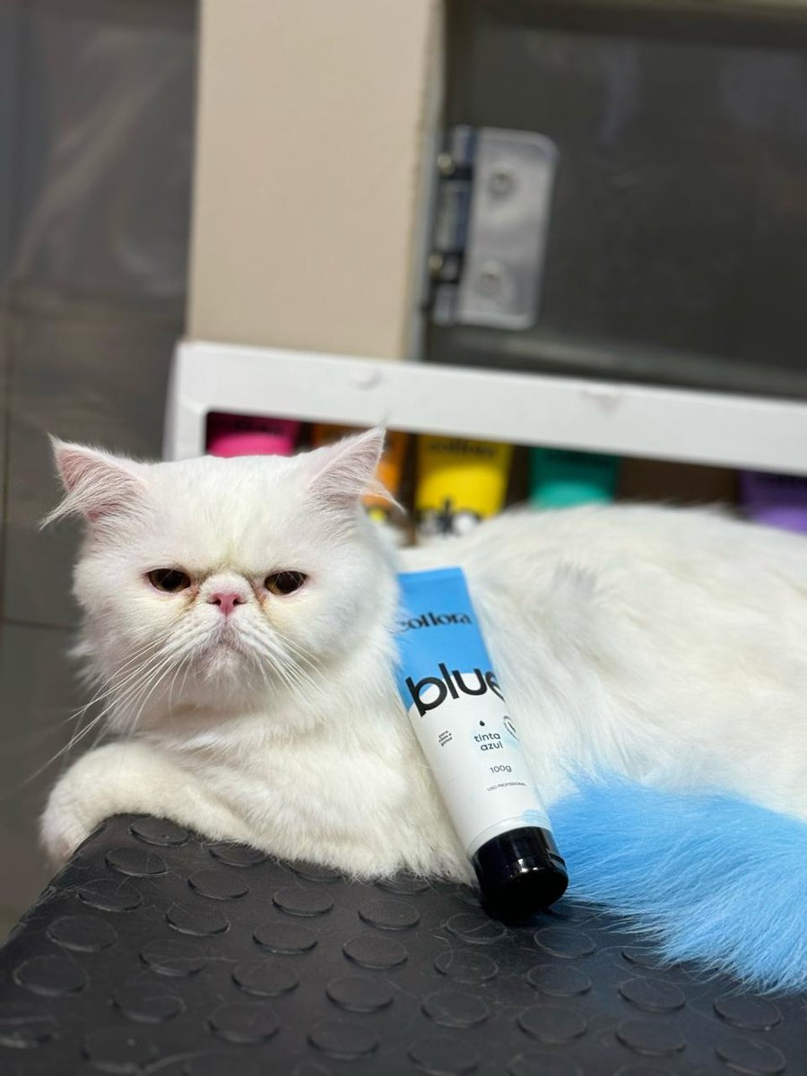 Pelos e Patas Pet House