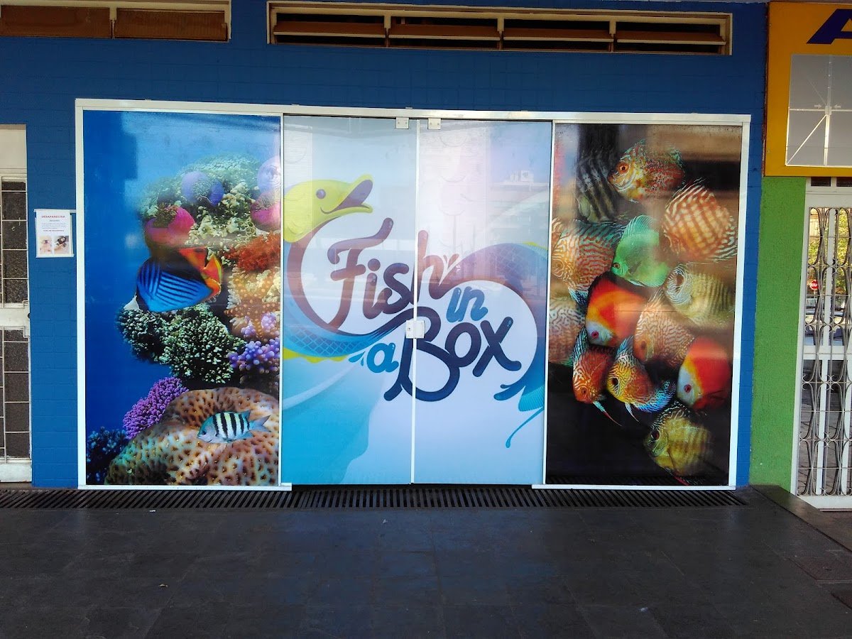 Fish In a Box Aquários
