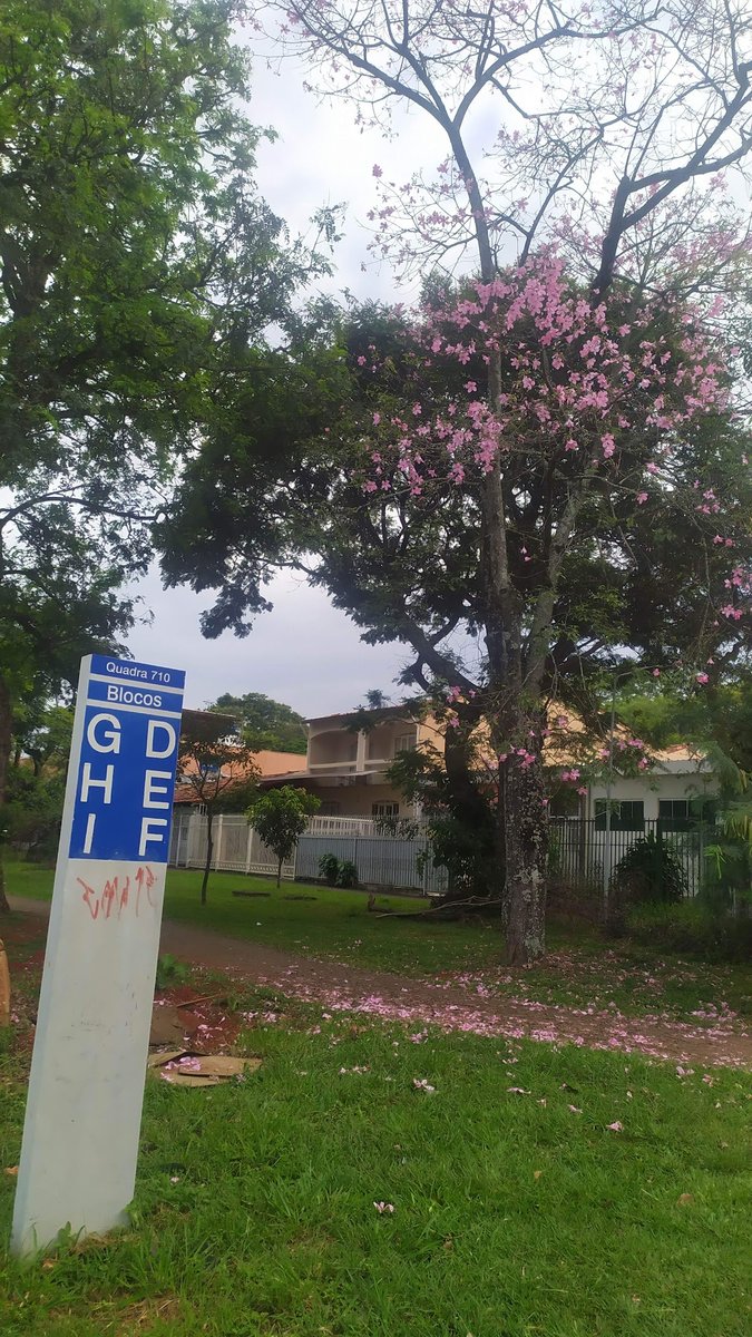 Hotel Amigo Bicho Brasília