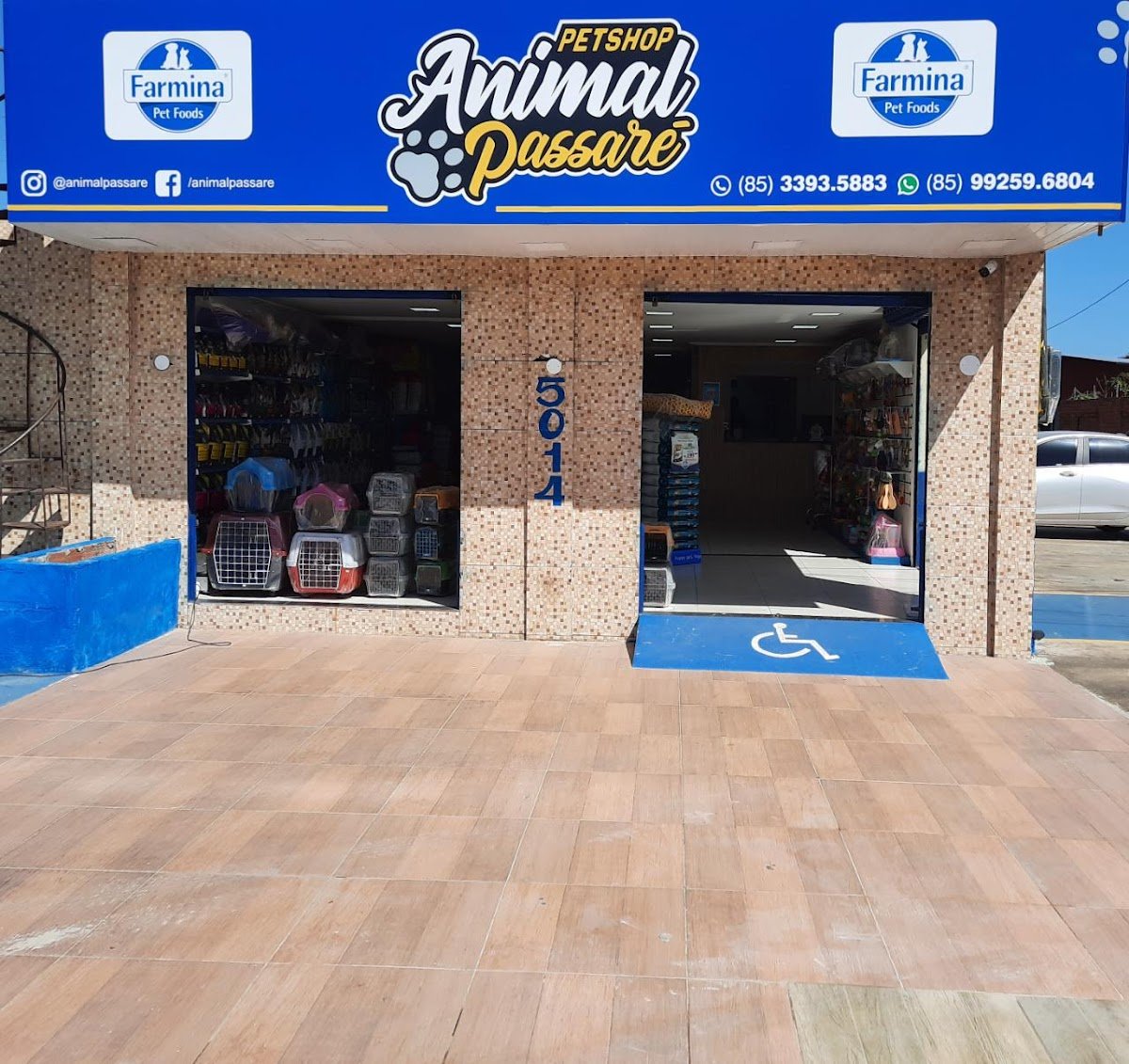 Pet Shop Animal Passaré