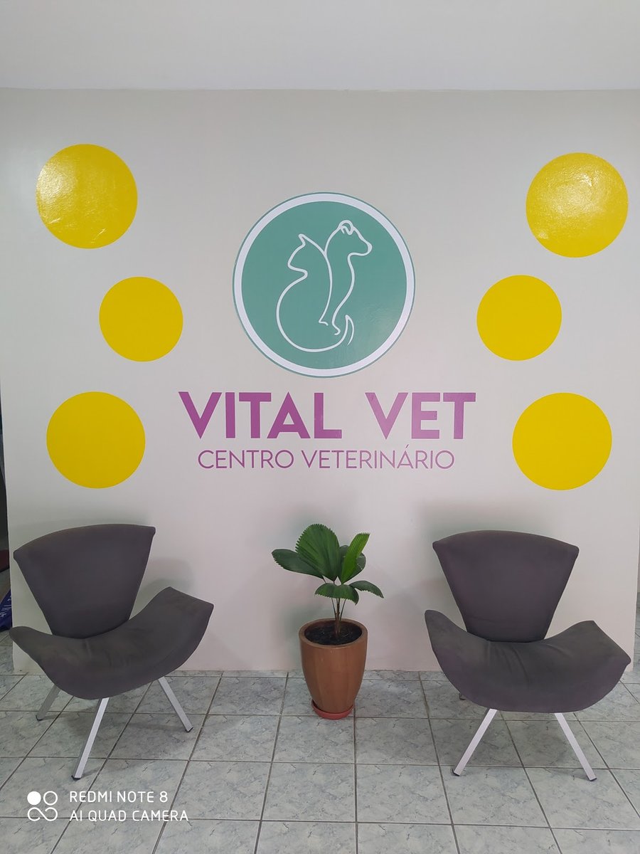 Vital Vet | Clínica Veterinária | Consulta | Cirurgia | Vacina | Odontologia | Exame | Banho e Tosa | Hotel | Fortaleza
