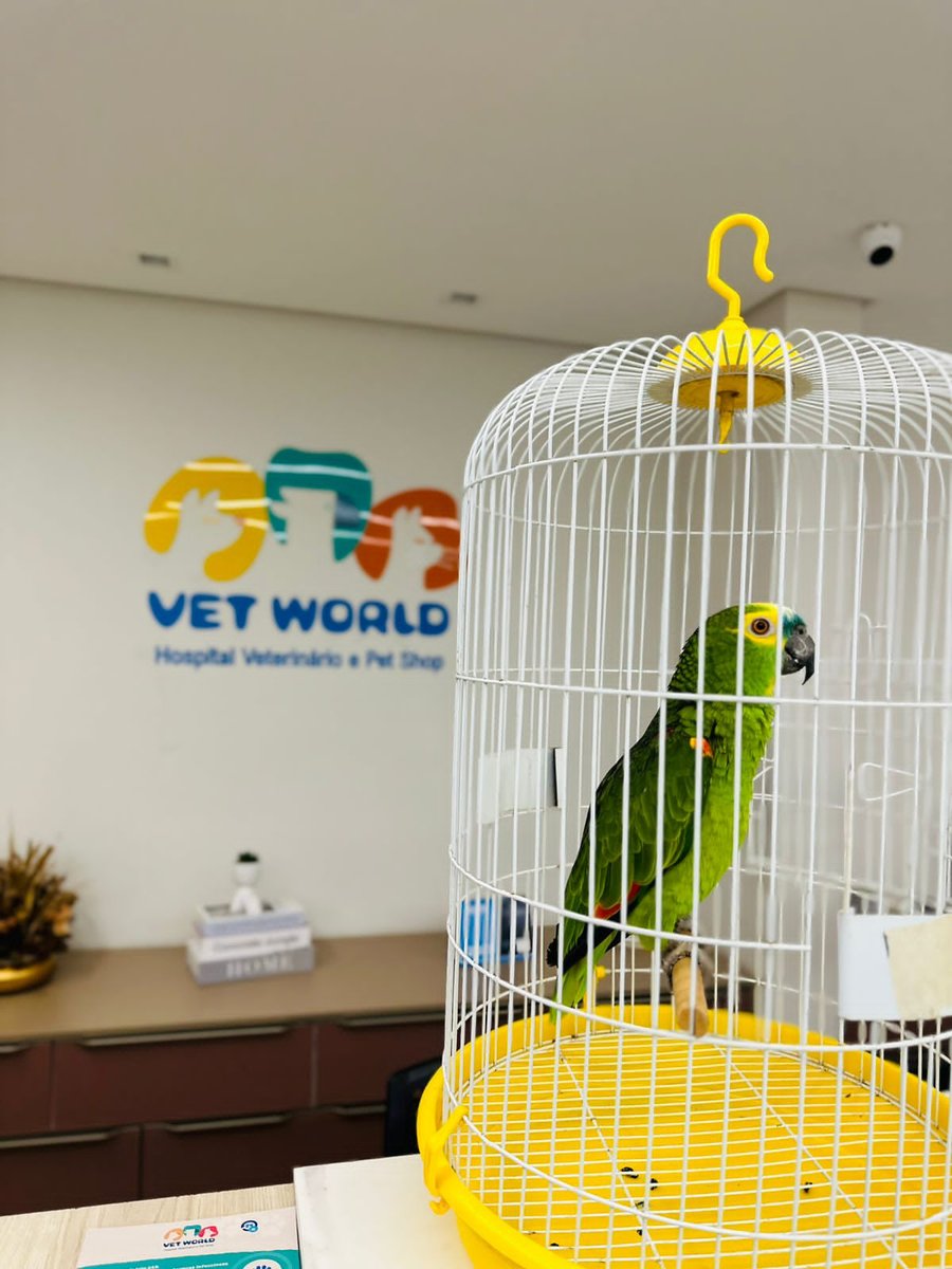 Hospital Veterinário Vetworld 24horas