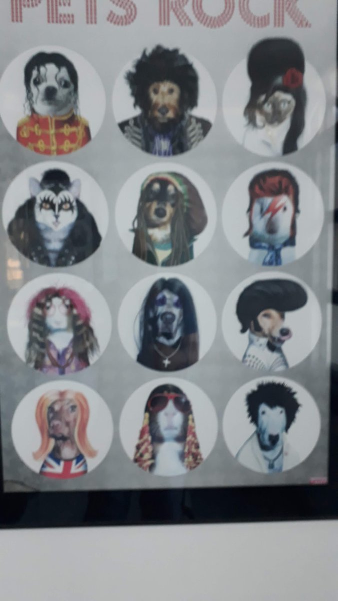 Clínica Veterinária São Geraldo Ltda - 24H