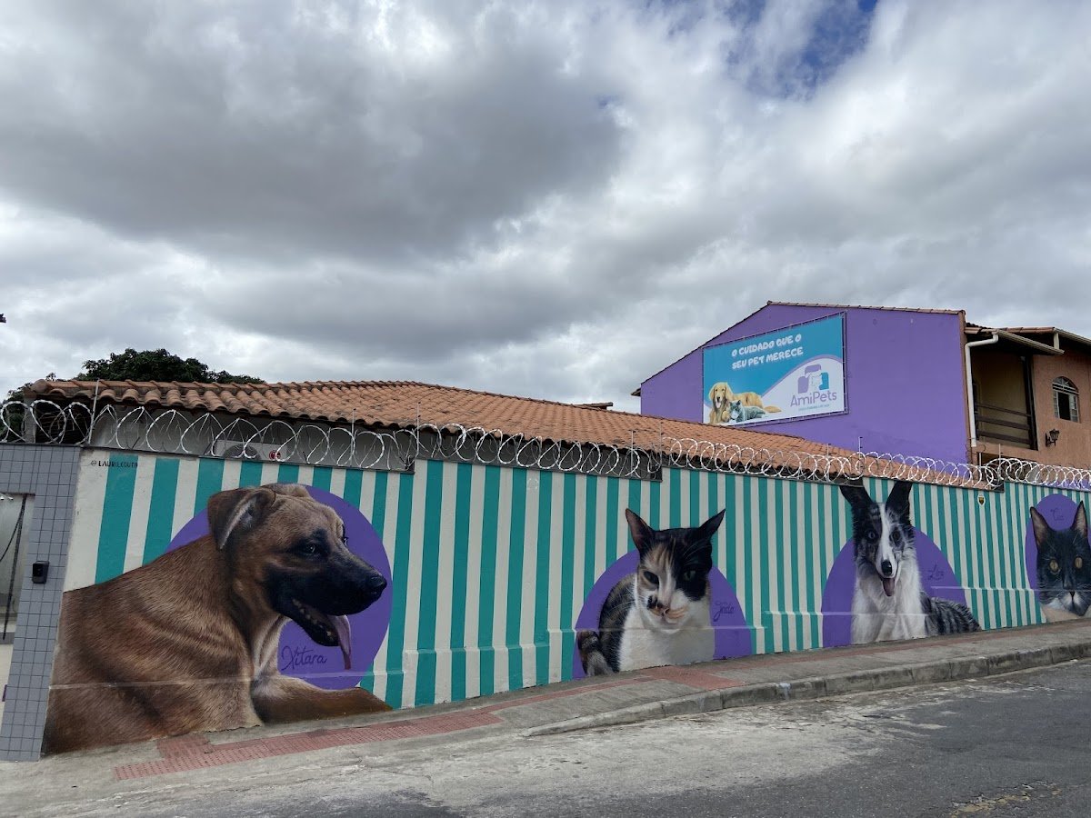 Ami Gold Pets - Clínica Veterinária