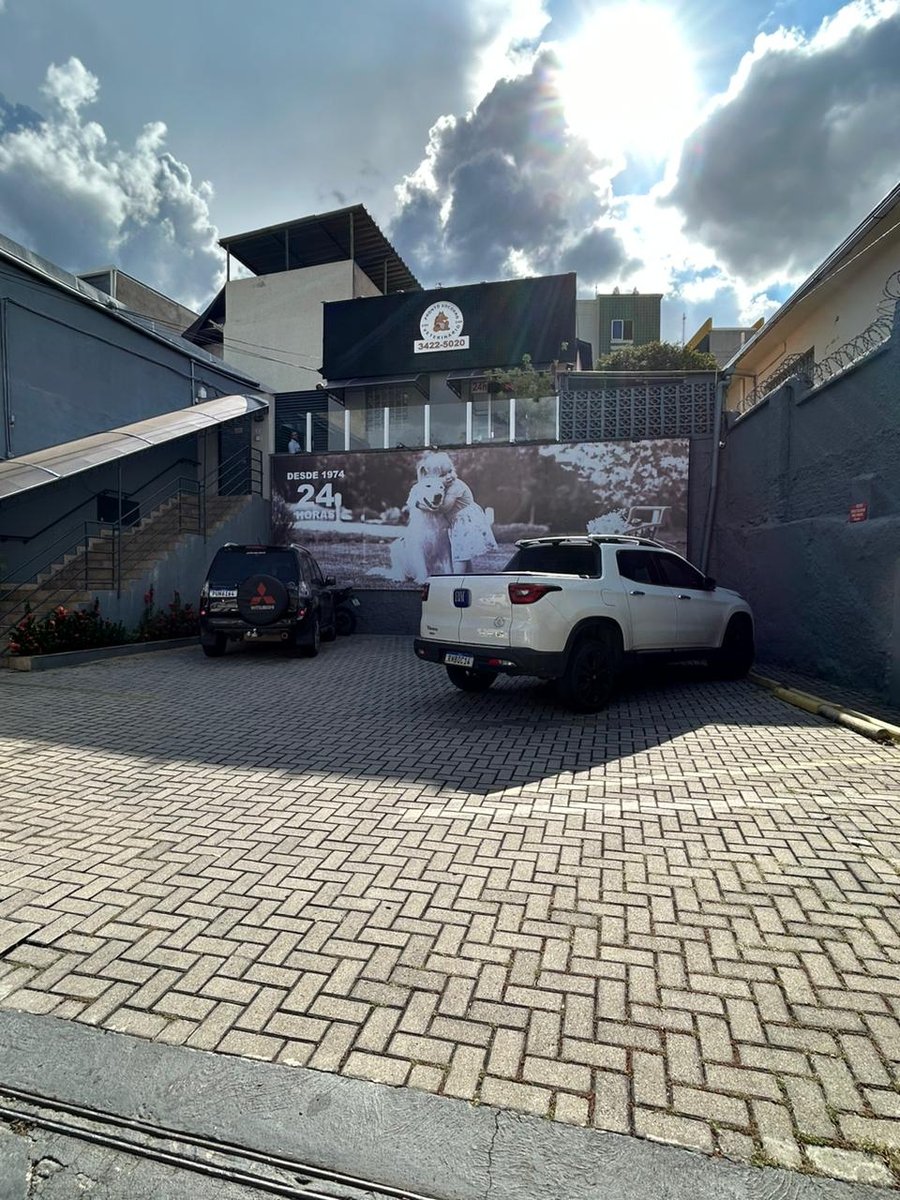 Pronto Socorro Veterinário 24 Horas