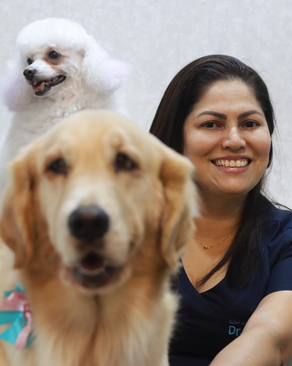 Clínica Veterinária Dr.Amarante