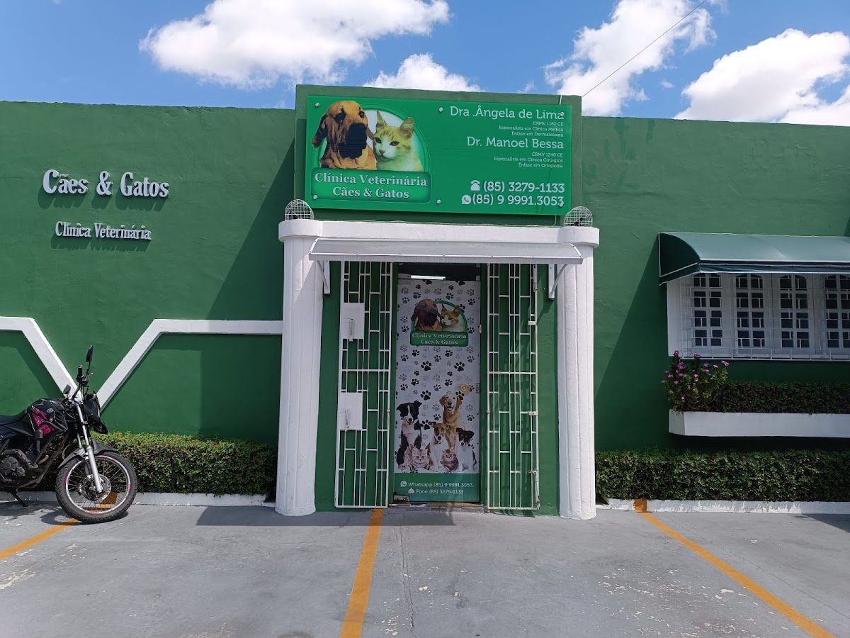 Clínica Veterinária Cães e Gatos LTDA