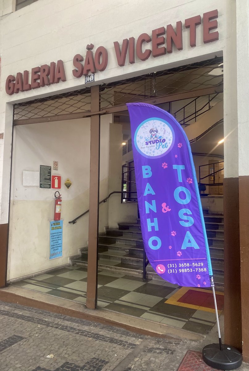 Studio Pet Lays Carolina Banho & Tosa - Petshop