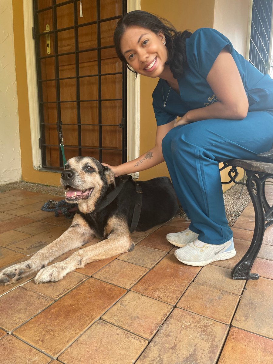 Atendimento Veterinário Domiciliar / Dra. Hannah Mota / Manaus