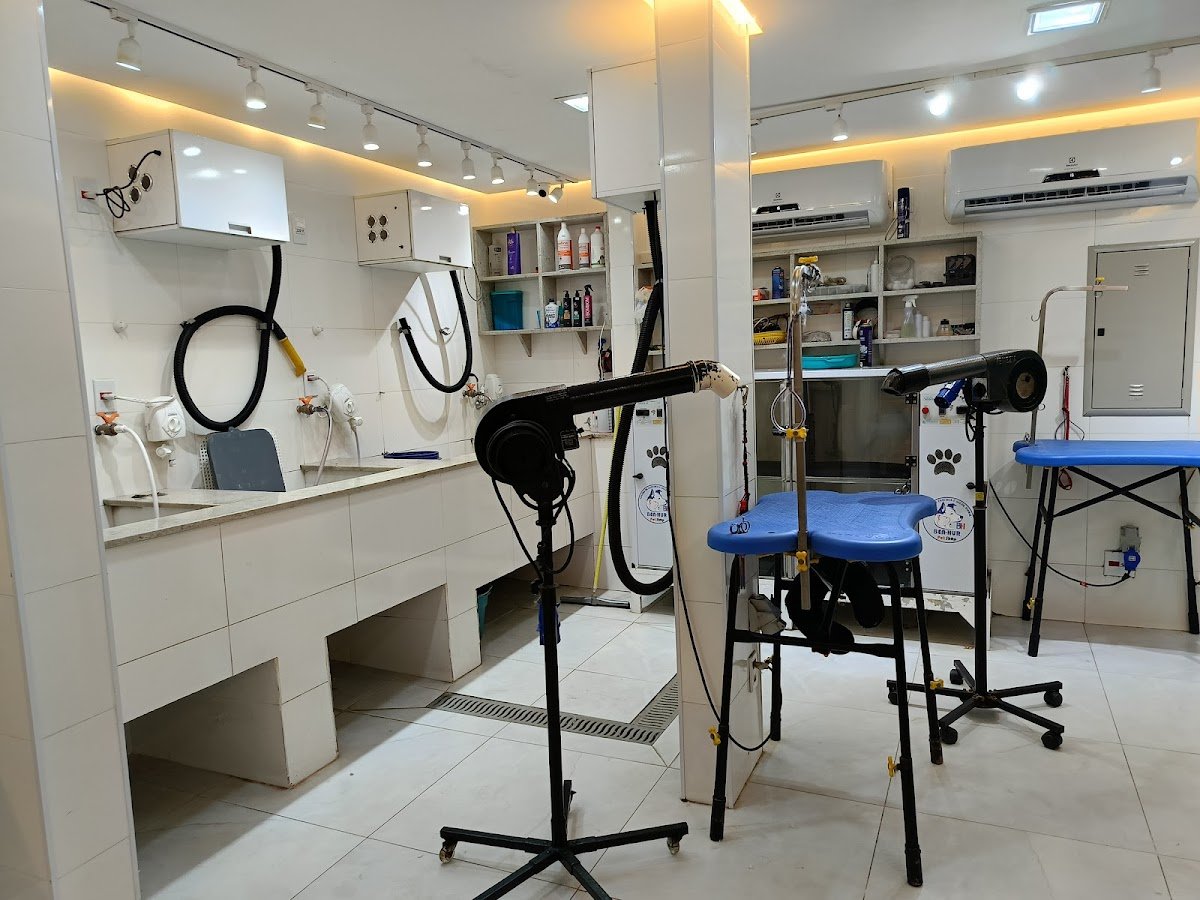 Clínica Veterinária 24h - BenHur Pets