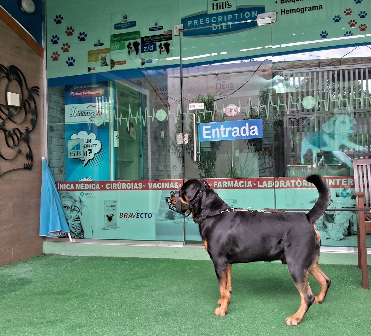 Clínica Veterinária Linameg