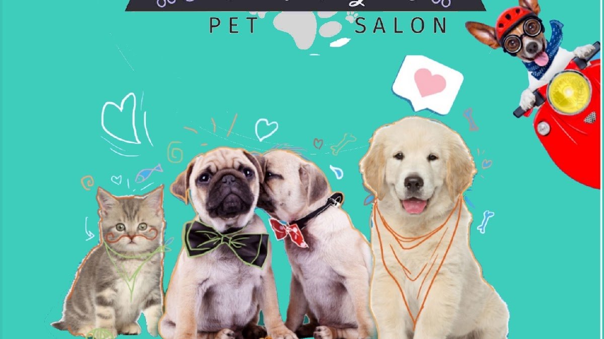 Amor de pet Salon
