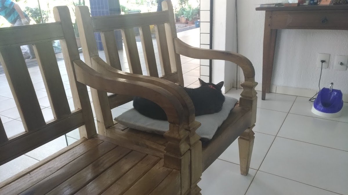 Casa do Gato