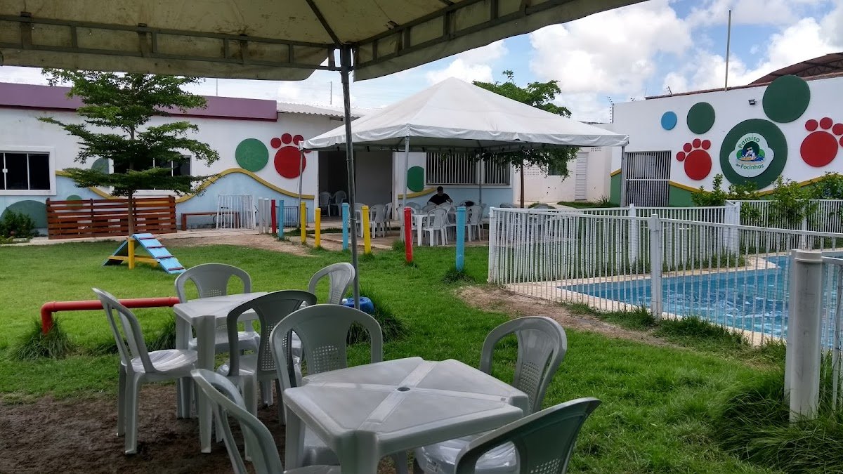 Paraíso Dos Focinhos - Pet shop e Creche Canina em fortaleza