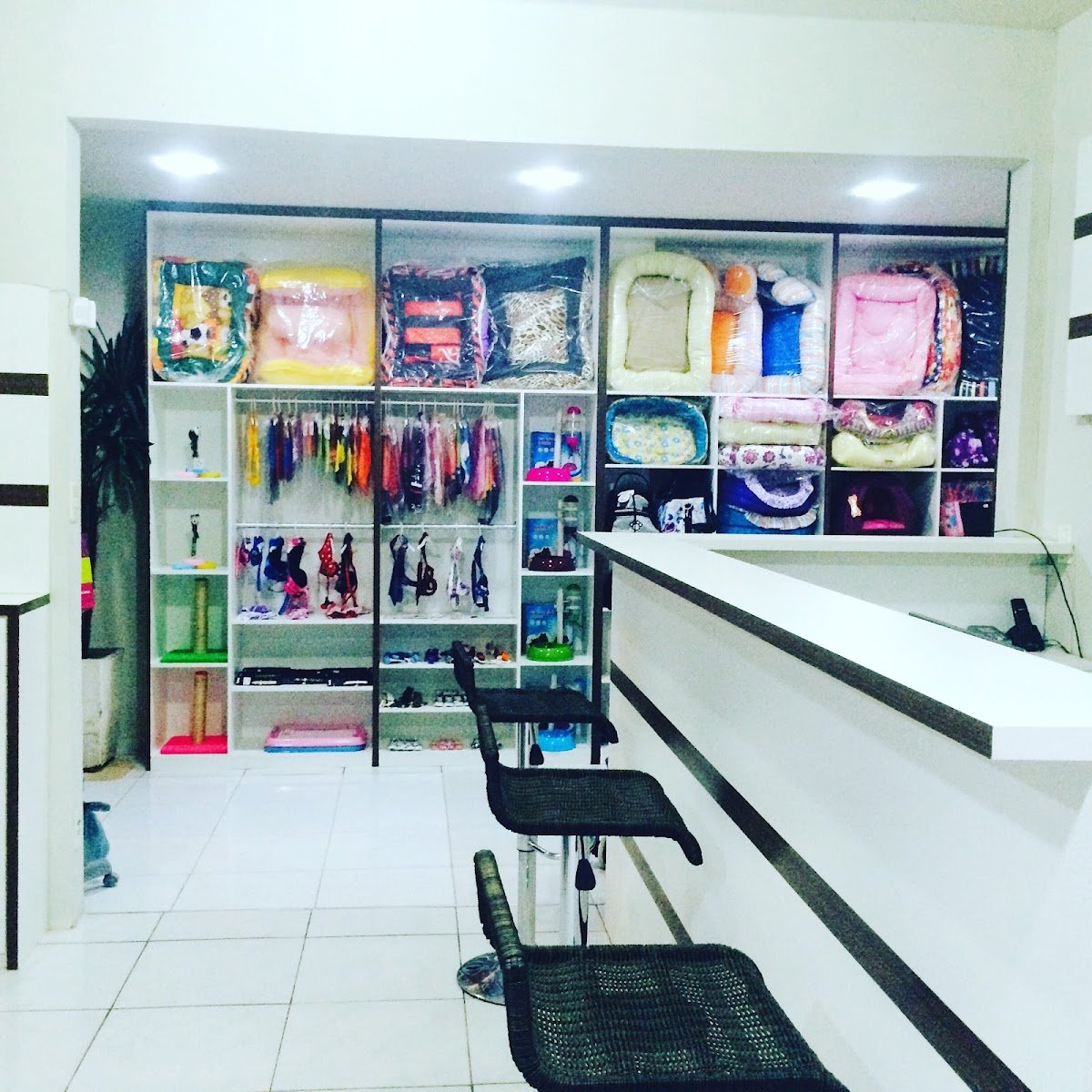 Petshop na maraponga-Mania de Cachorro Conceito Pet shop e clínica veterinária