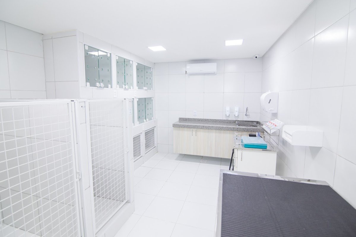 Cinvet Hospital Veterinário 24 Horas