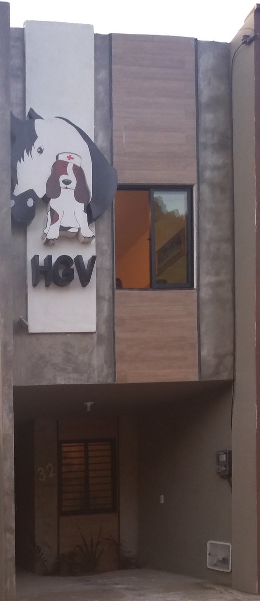 HGV- Clínica Veterinária