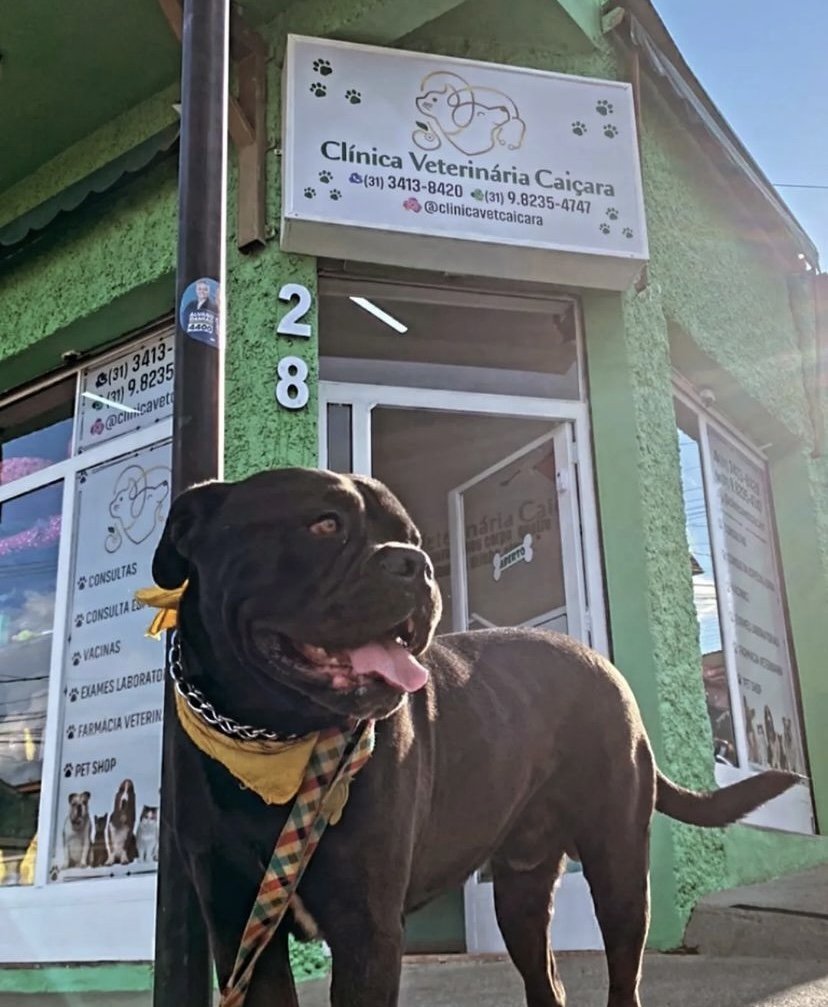 Clínica Veterinária Caiçara