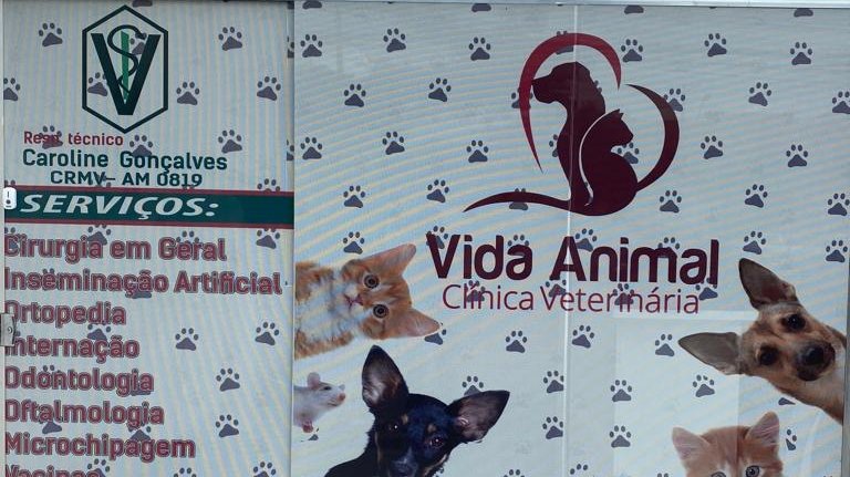 Vida Animal Clinica Veterinaria