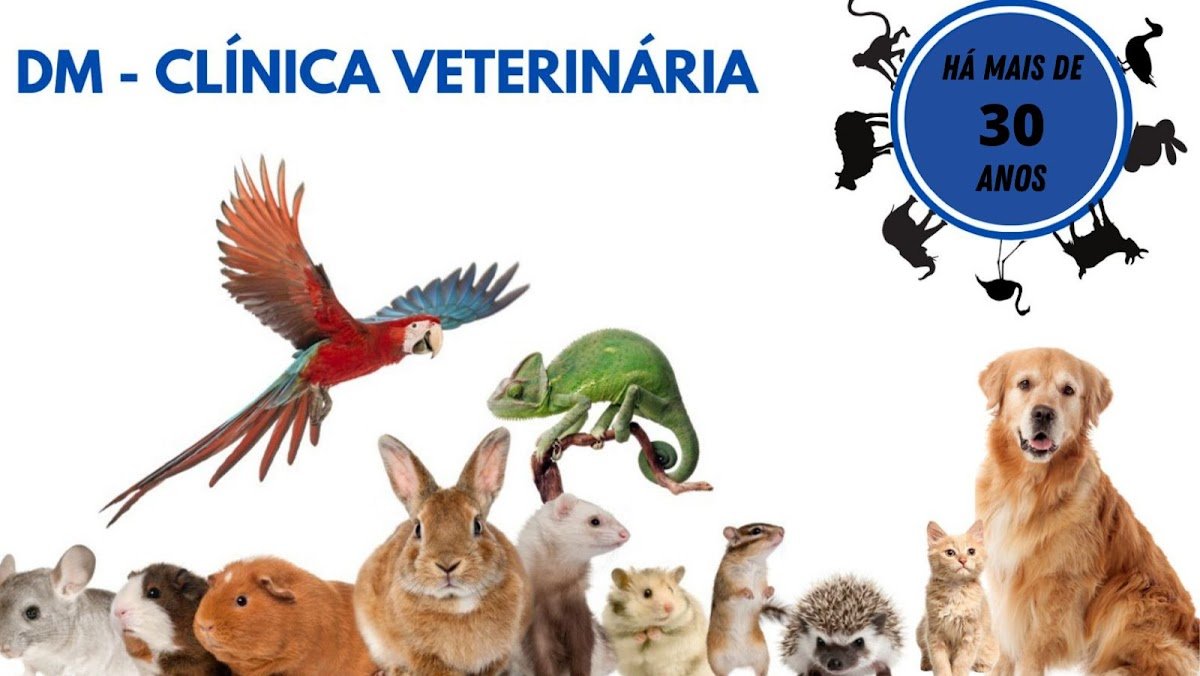 DM Clínica Veterinária
