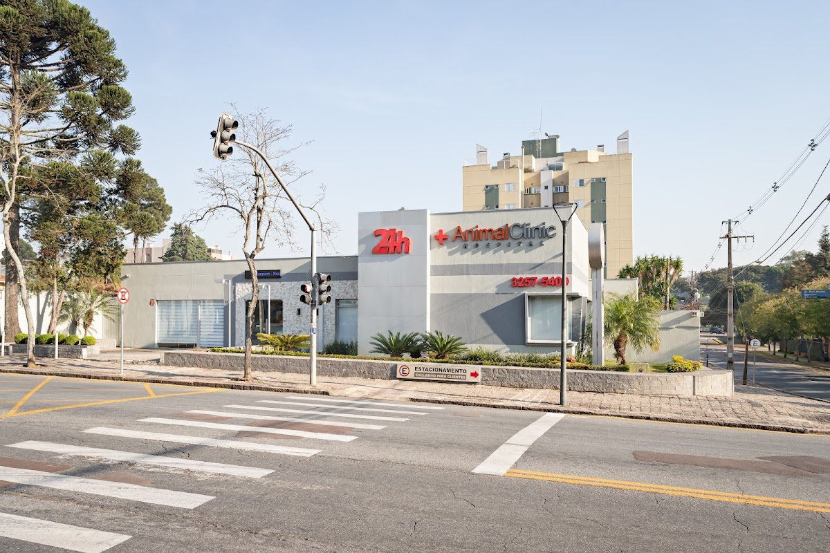 Animal Clinic Bacacheri - Hospital Veterinário 24h