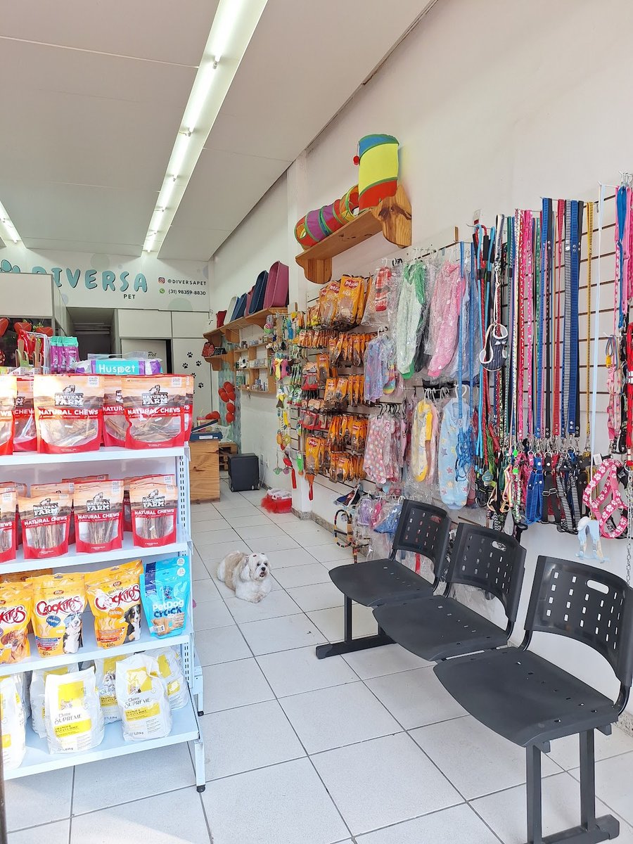 Diversa Pet - Petshop em BH, Banho e Tosa, Rações, Coleiras, Brinquedos, Petiscos, Vermifugos