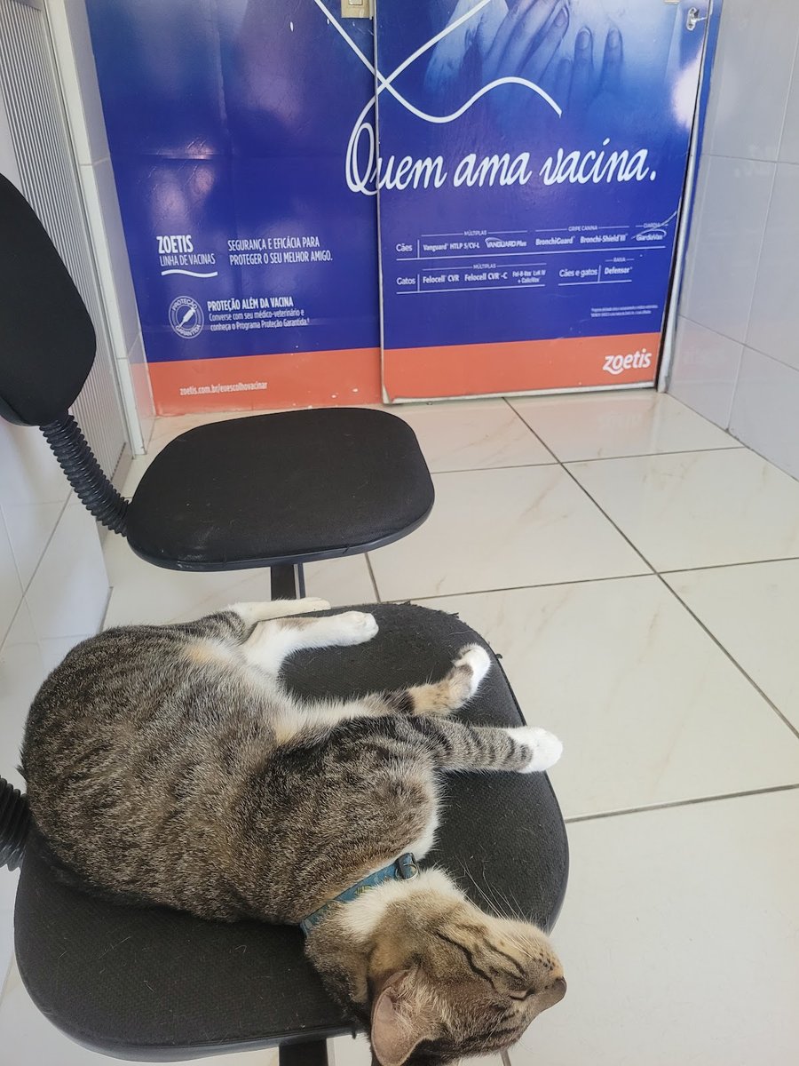 Espaço Animal - Clínica Veterinária & Pet Shop