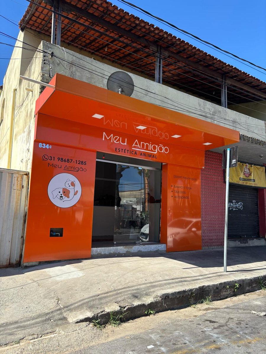 Meu Amigão - Estética Animal