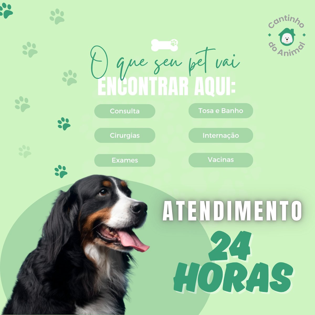 Clinica Veterinária Cantinho do Animal