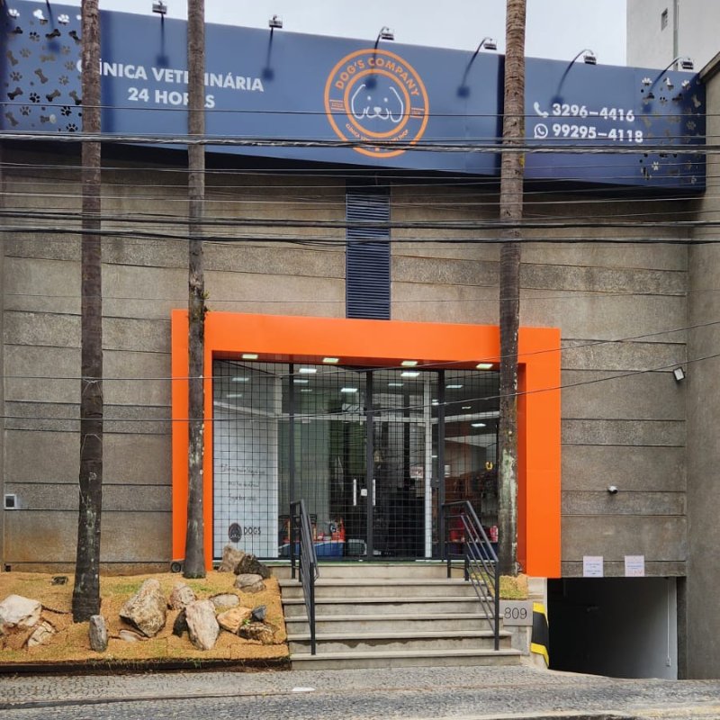 Dog's Company - Clínica Veterinária I Pet Shop I Belo Horizonte