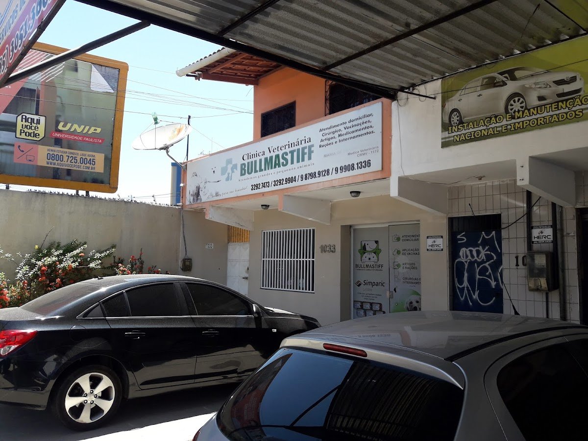 Clínica Bullmastiff